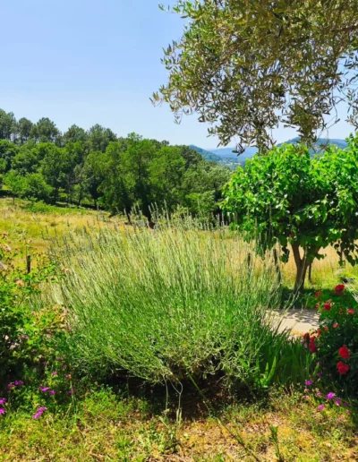 Jardin fleuri Ardèche