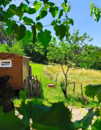 Jardin fleuri Ardèche avec roulotte Ailhon
