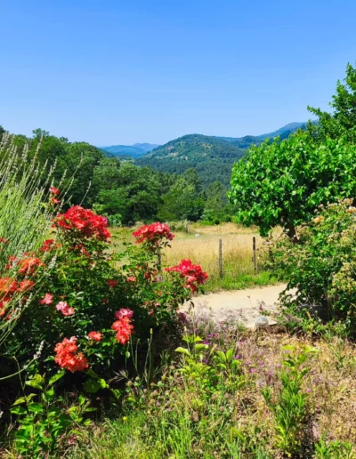 Jardin fleuri Ardèche avec vue