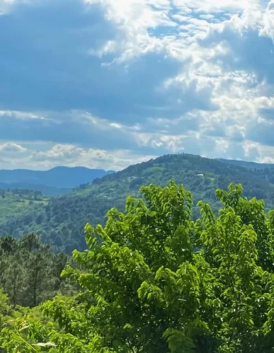 location vue panoramique nature ardeche
