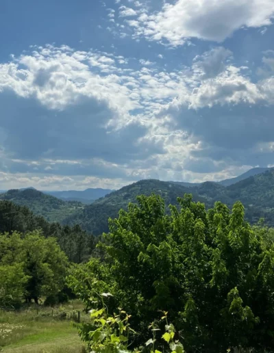 location vue panoramique nature ardeche